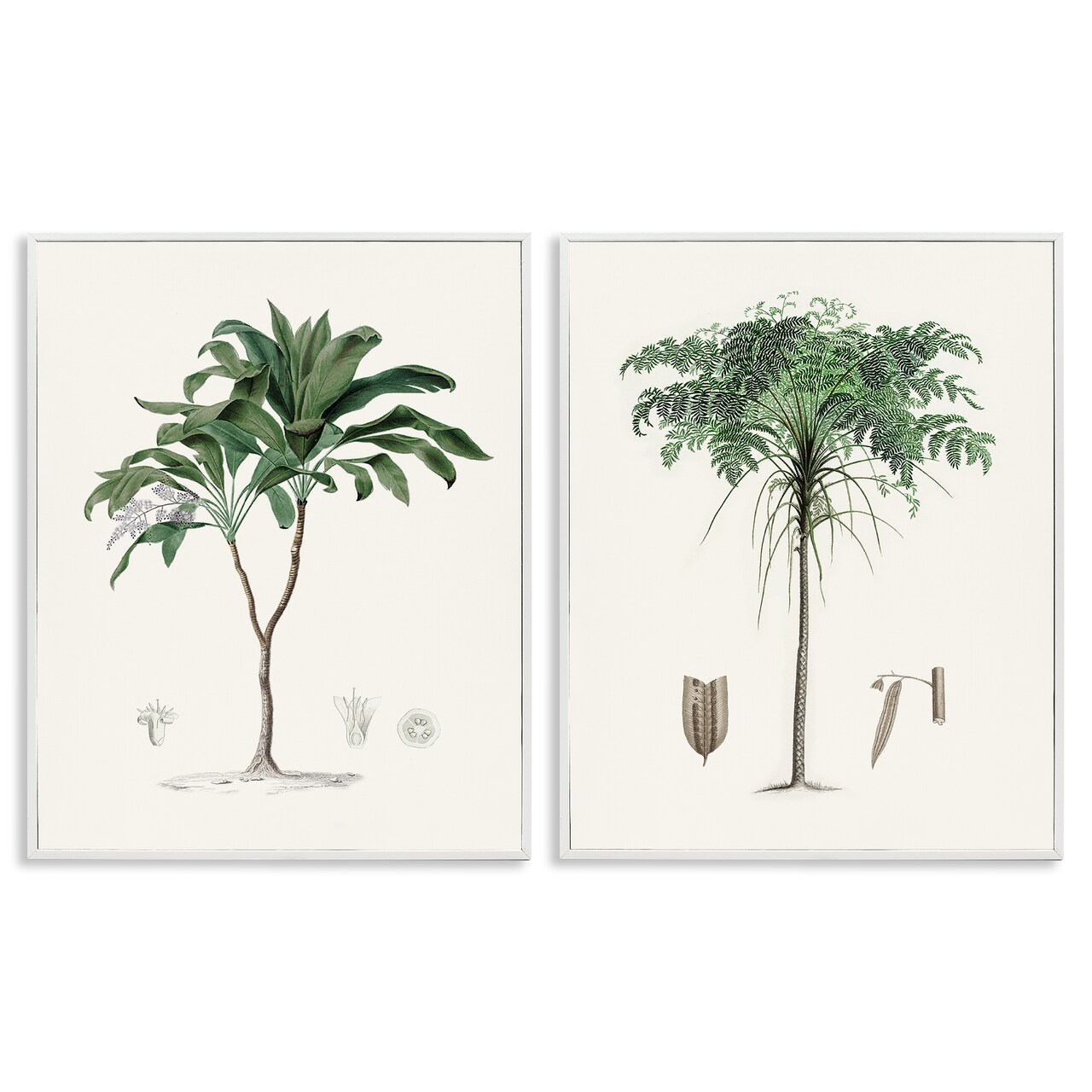 Stupell Industries Two Types of Palms 2pc Framed Giclee Set, design by Val Rhodes